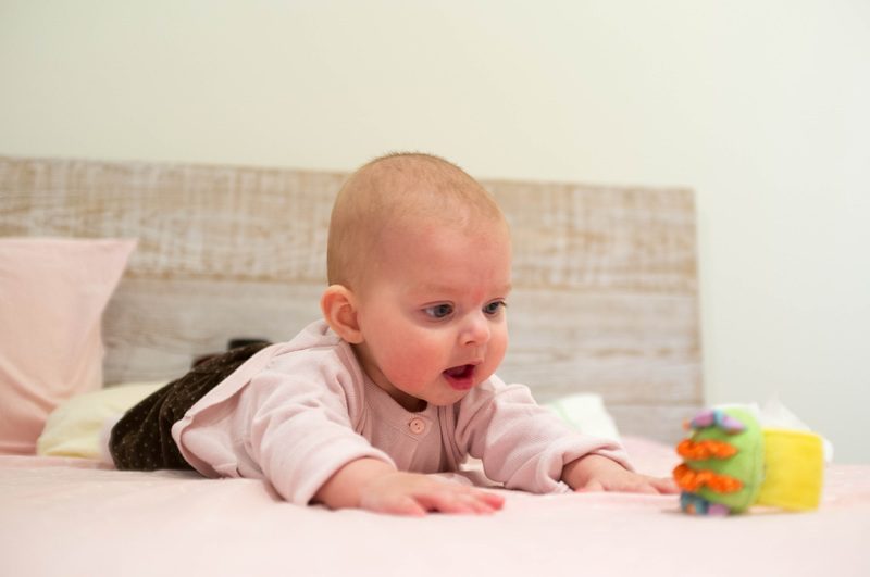 Iniciación al rastreo- bebe de 4 a 6 meses