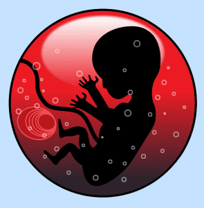 el bebe escucha sonidos del cuerpo de su madre